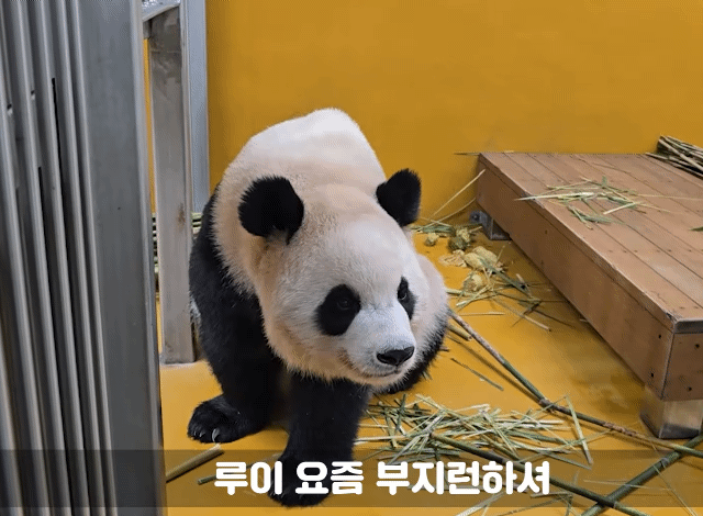 qPlqXk.gif