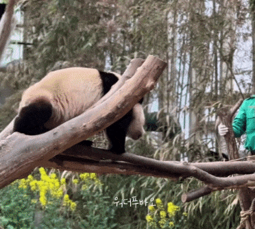 qUeTBS.gif