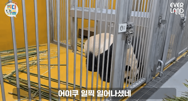 qUlxDm.gif