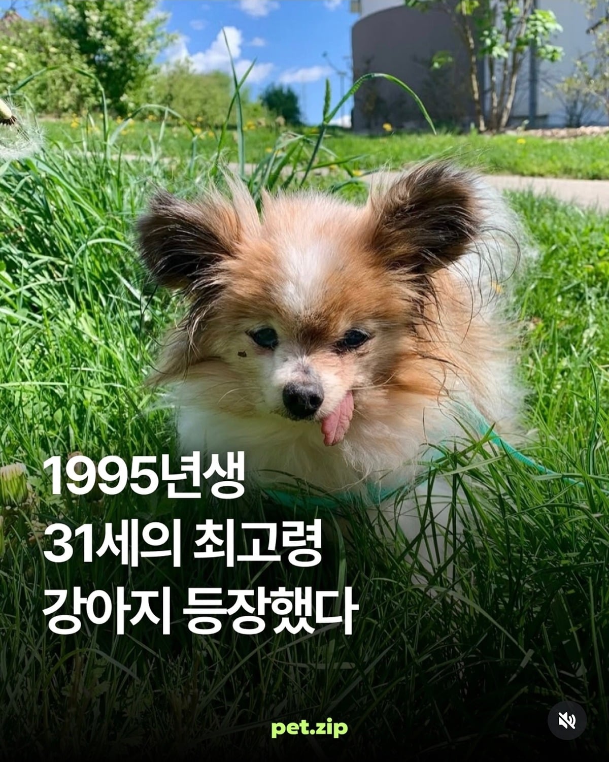 qVLPCt