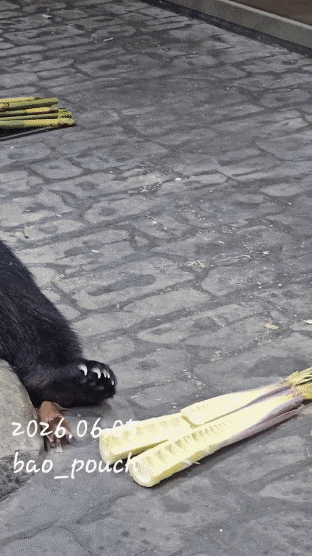 qWcEjL.gif
