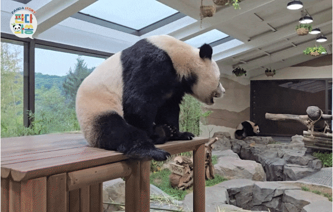 qXikyo.gif