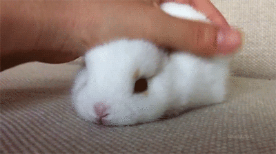 qYFqeA.gif