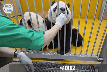 qYdAwX.gif