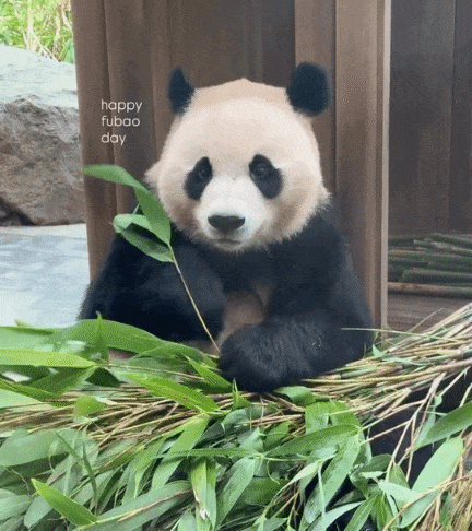 qbRQjK.gif