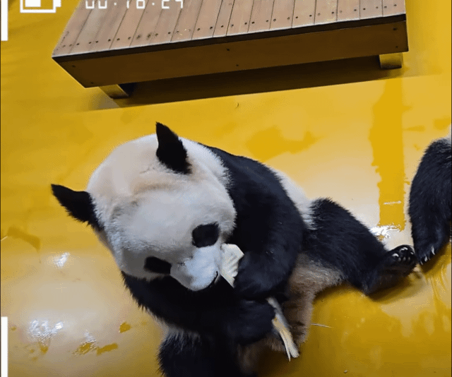 qcoBaZ.gif