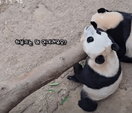 qeJeLt.gif