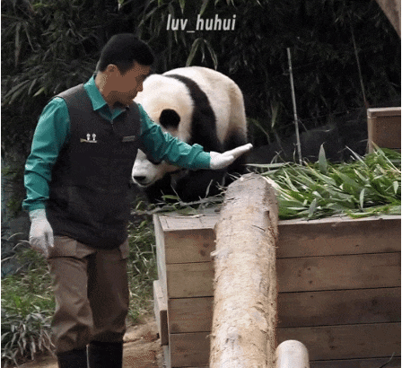 qepLfy.gif