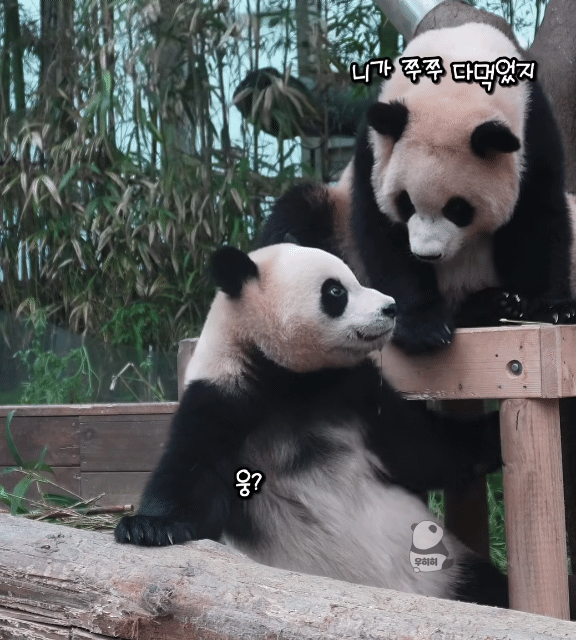 qfGBuW.gif