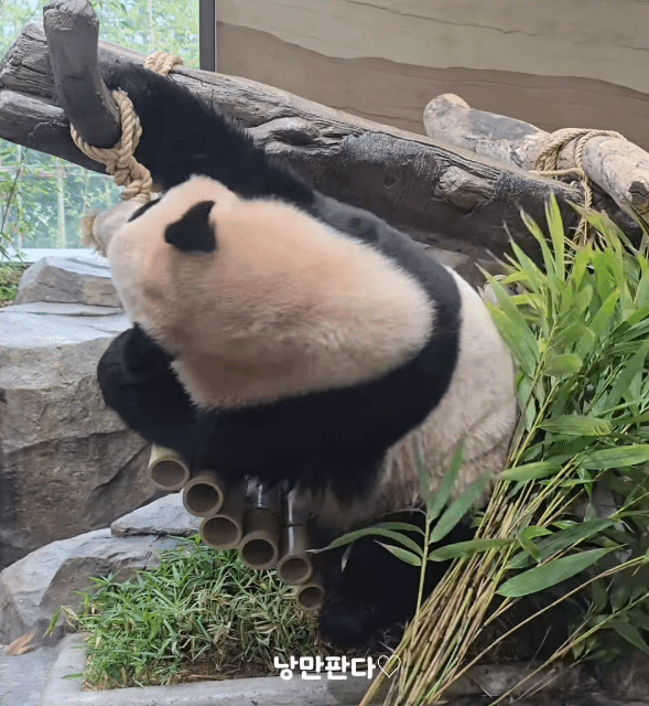 qhiuZn.gif