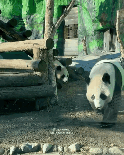 qjYQoq.gif