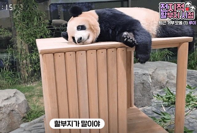 qkFDrC.gif