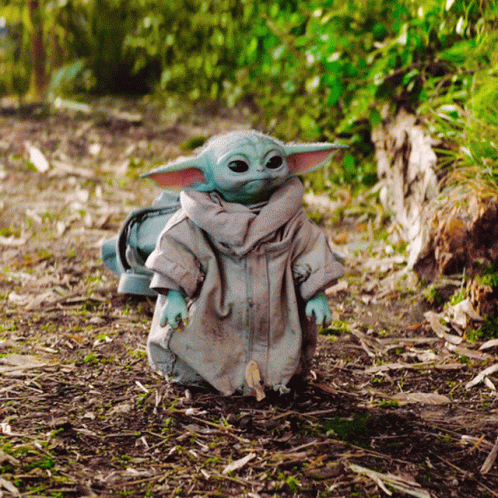 qlNDVN.gif