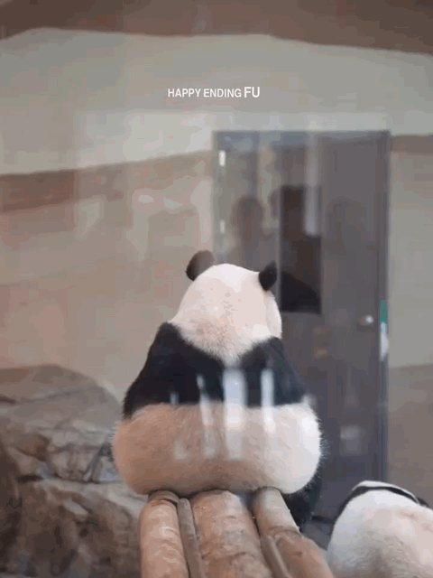 qpvtlT.gif