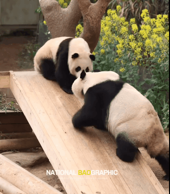 qrMKoW.gif