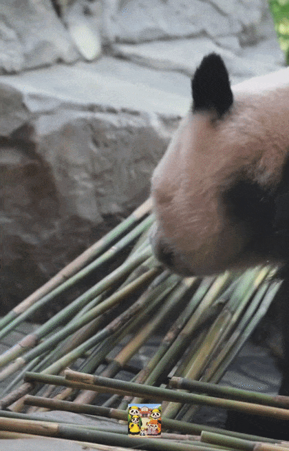 qunBRW.gif