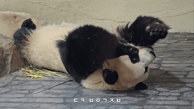 qvbFYZ.gif