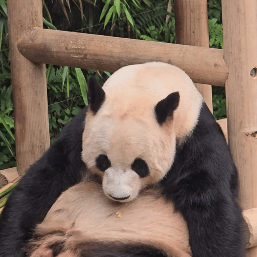 qwEgmX.gif