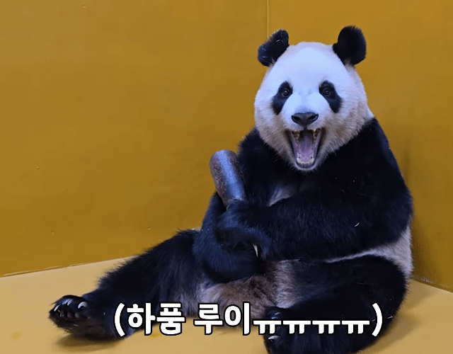 rEwnun.gif
