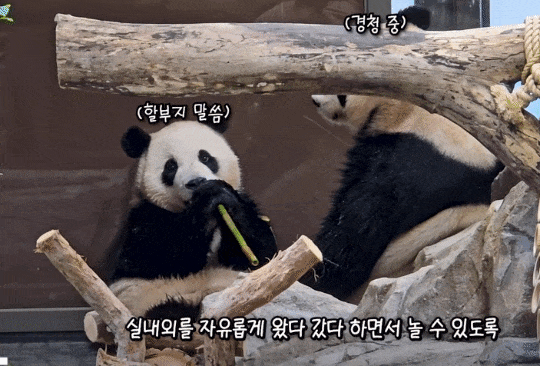 rNjsGm.gif