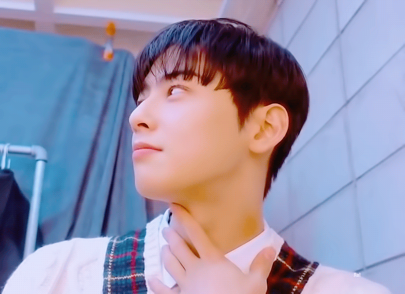 rOKdRi.gif