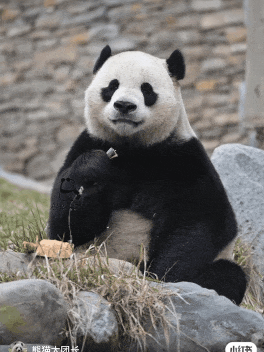 rQjVOB.gif