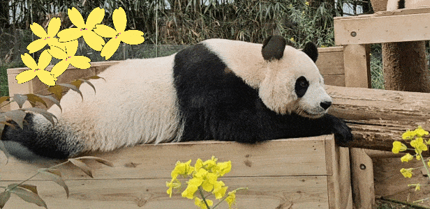 rSgeTw.gif