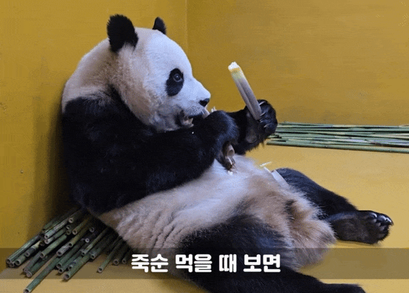 rSrCHP.gif