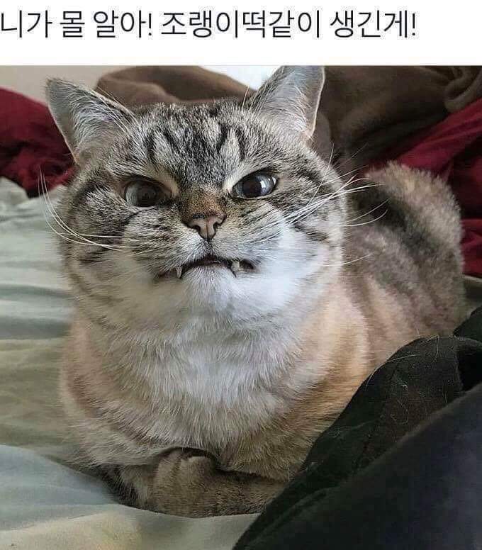 rVejx.jpg