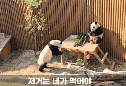 rWIhmn.gif