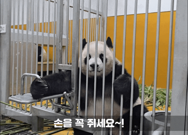 rYIsjr.gif