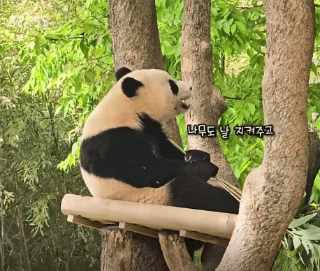 rbGVZe.gif