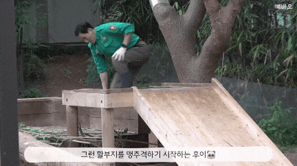 risCaK.gif