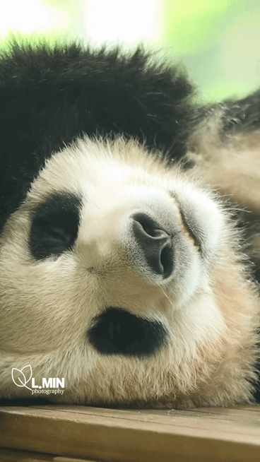 rqzTGc.gif