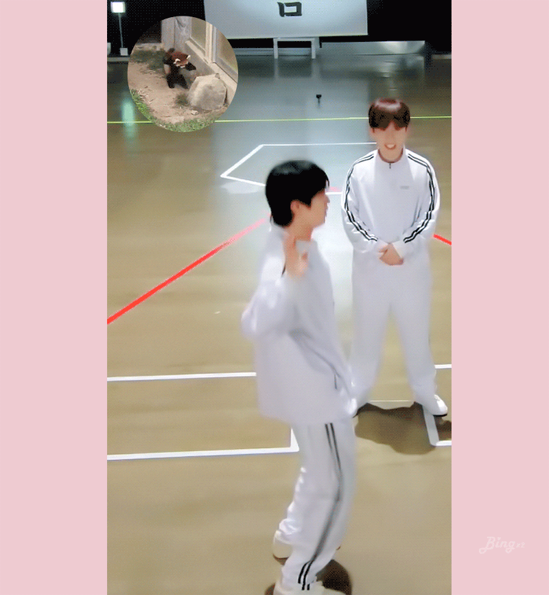 rsenoL.gif