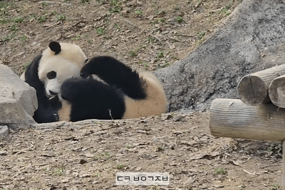 rvviqp.gif