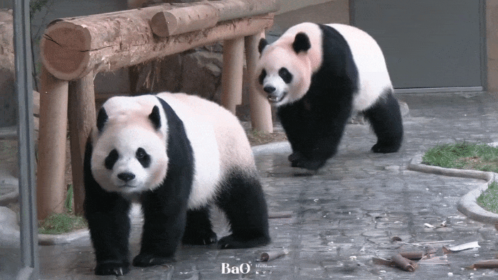 ryEgJE.gif