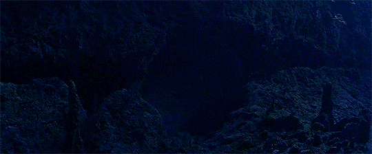 sElTfz.gif