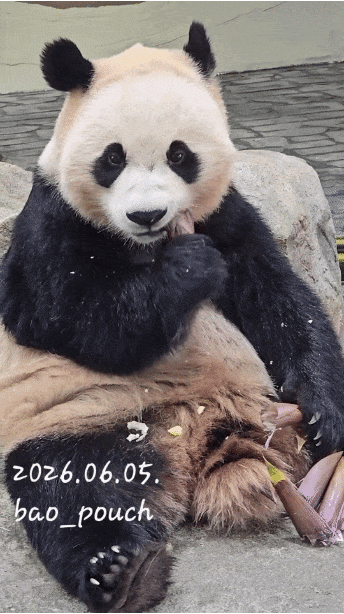 sIhjlz.gif