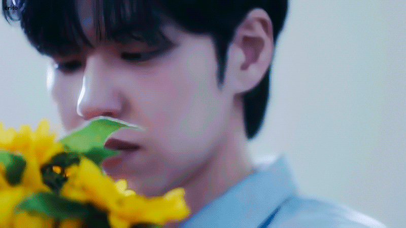 sJMJvB.gif