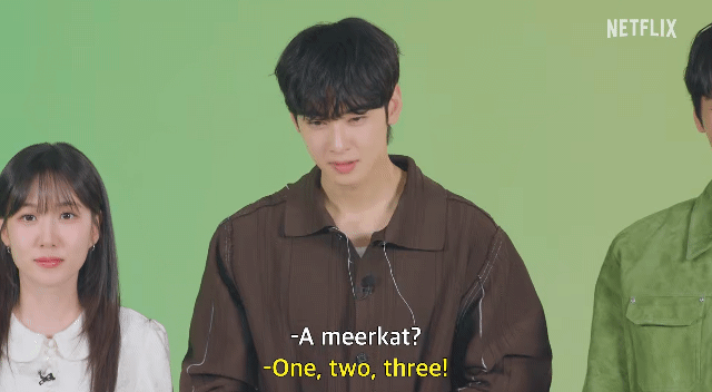 sMdCIu.gif