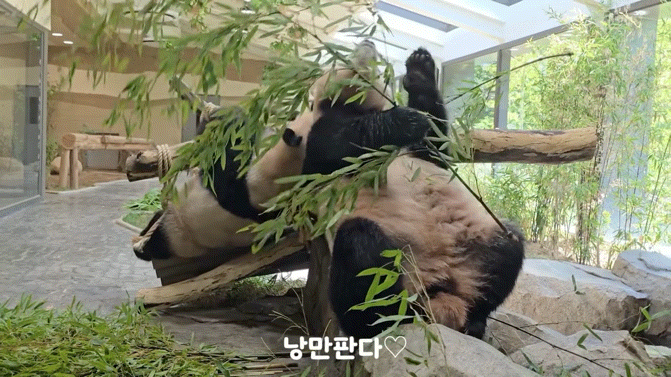 sRcSkj.gif