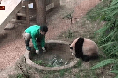 sbZavU.gif