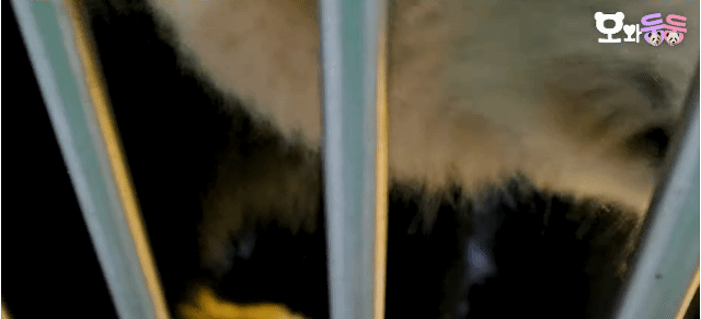 sdeTcK.gif