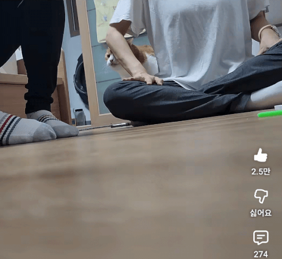 sjpyFx.gif