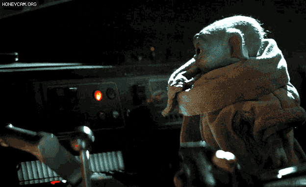 sncySL.gif