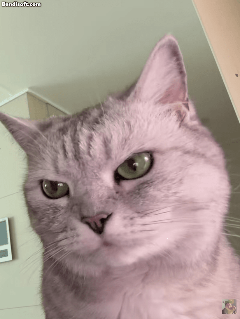 soRujm.gif