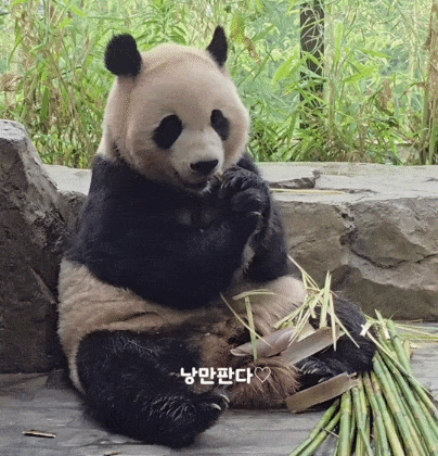 sonkeq.gif