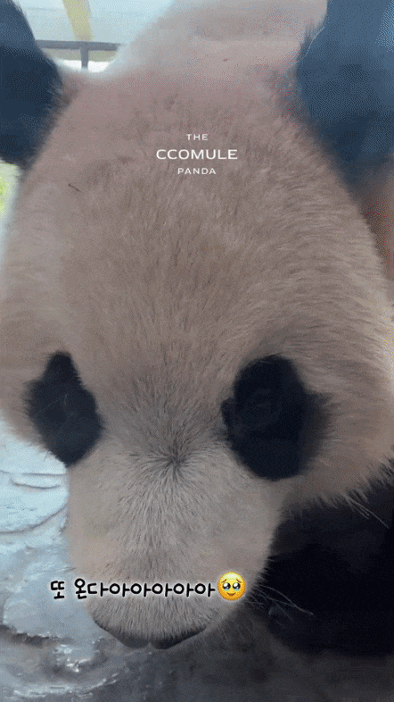 svXujp.gif