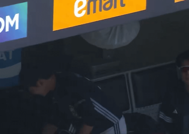 swfBWR.gif